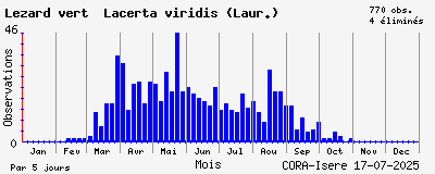 Observations saisonnires (par 5 jours) de Lézard vert Lacerta viridis (Laur.)