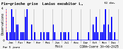 Observations saisonnires (par 5 jours) de Pie-grièche grise Lanius excubitor L.