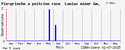 Observations saisonnires (par 5 jours) de Pie-grièche à poitrine rose Lanius minor Gm.