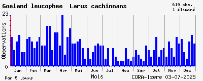 Observations saisonnires (par 5 jours) de Goéland leucophée Larus cachinnans