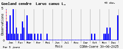Observations saisonnires (par 5 jours) de Goéland cendré Larus canus L.