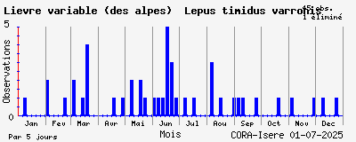 Observations saisonnires (par 5 jours) de Lièvre variable (des alpes) Lepus timidus varronis