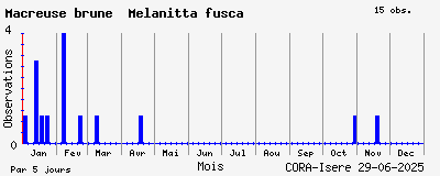 Observations saisonnires (par 5 jours) de Macreuse brune Melanitta fusca