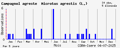 Observations saisonnires (par 5 jours) de Campagnol agreste Microtus agrestis (L.)