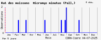 Observations saisonnires (par 5 jours) de Rat des moissons Micromys minutus (Pall.)