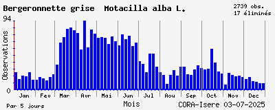 Observations saisonnires (par 5 jours) de Bergeronnette grise Motacilla alba L.