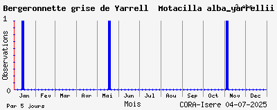 Observations saisonnires (par 5 jours) de Bergeronnette grise de Yarrell Motacilla alba_yarrellii