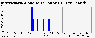 Observations saisonnires (par 5 jours) de Bergeronnette à tête noire Motacilla flava_feldegg