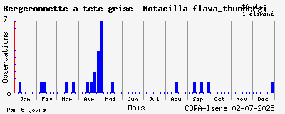 Observations saisonnires (par 5 jours) de Bergeronnette à tête grise Motacilla flava_thunbergi
