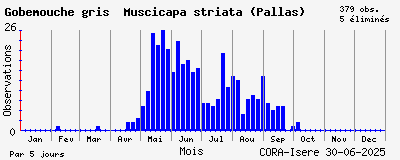 Observations saisonnires (par 5 jours) de Gobemouche gris Muscicapa striata (Pallas)