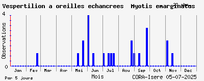 Observations saisonnires (par 5 jours) de Vespertilion à oreilles échancrées Myotis emarginatus