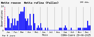 Observations saisonnires (par 5 jours) de Nette rousse Netta rufina (Pallas)