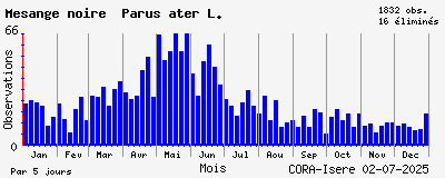 Observations saisonnires (par 5 jours) de Mésange noire Parus ater L.