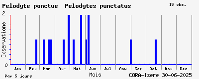 Observations saisonnires (par 5 jours) de Pélodyte ponctué Pelodytes punctatus