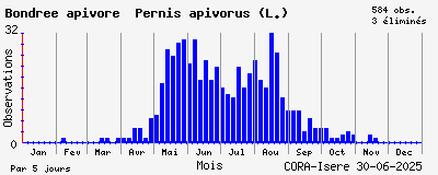 Observations saisonnires (par 5 jours) de Bondrée apivore Pernis apivorus (L.)