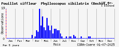 Observations saisonnires (par 5 jours) de Pouillot siffleur Phylloscopus sibilatrix (Bechst.)