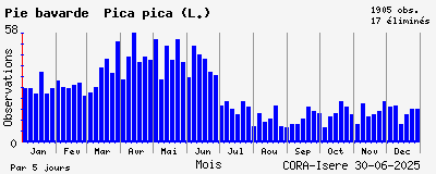 Observations saisonnires (par 5 jours) de Pie bavarde Pica pica (L.)