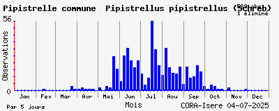 Observations saisonnires (par 5 jours) de Pipistrelle commune Pipistrellus pipistrellus (Schreb)