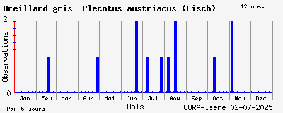 Observations saisonnires (par 5 jours) de Oreillard gris Plecotus austriacus (Fisch)
