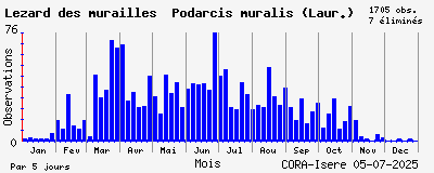 Observations saisonnires (par 5 jours) de Lézard des murailles Podarcis muralis (Laur.)