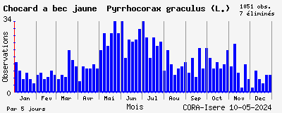 Observations saisonnires (par 5 jours) de Chocard à bec jaune Pyrrhocorax graculus (L.)