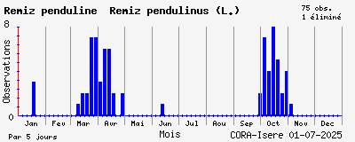 Observations saisonnires (par 5 jours) de Rémiz penduline Remiz pendulinus (L.)
