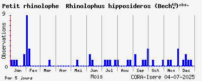 Observations saisonnires (par 5 jours) de Petit rhinolophe Rhinolophus hipposideros (Bech.)