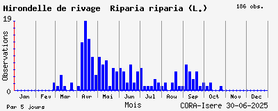 Observations saisonnires (par 5 jours) de Hirondelle de rivage Riparia riparia (L.)