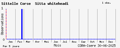 Observations saisonnires (par 5 jours) de Sittelle Corse Sitta whiteheadi