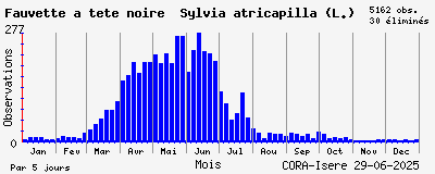 Observations saisonnires (par 5 jours) de Fauvette à tête noire Sylvia atricapilla (L.)