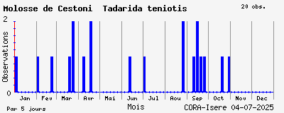 Observations saisonnires (par 5 jours) de Molosse de Cestoni Tadarida teniotis