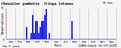 Observations saisonnires (par 5 jours) de Chevalier gambette Tringa totanus